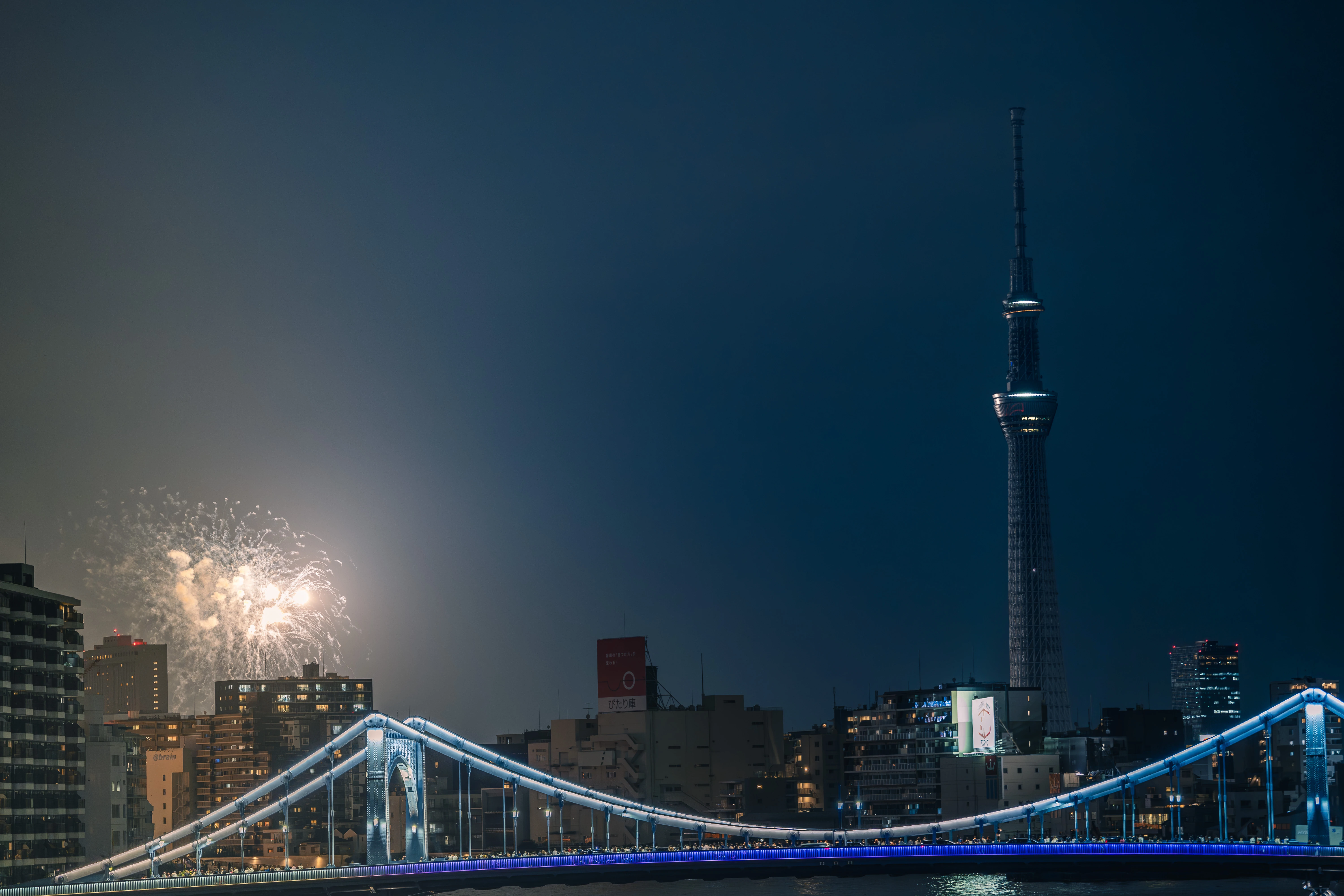 Fireworks Illuminate Tokyo's Night beside Sumida River